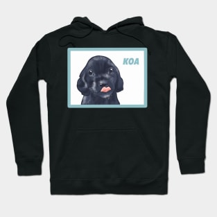 Koa Hoodie